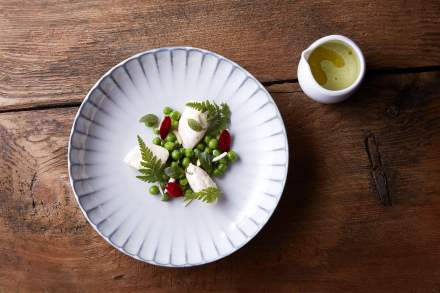 Entrée petits pois menthe-basilic et chèvre<br />
